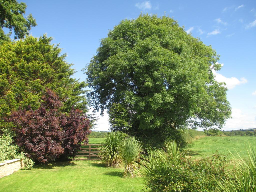 Tralia Farmhouse Self Catering Farranfore Exterior foto