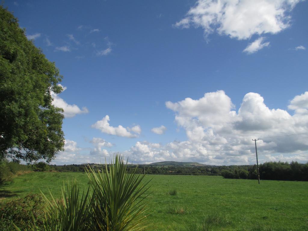 Tralia Farmhouse Self Catering Farranfore Exterior foto