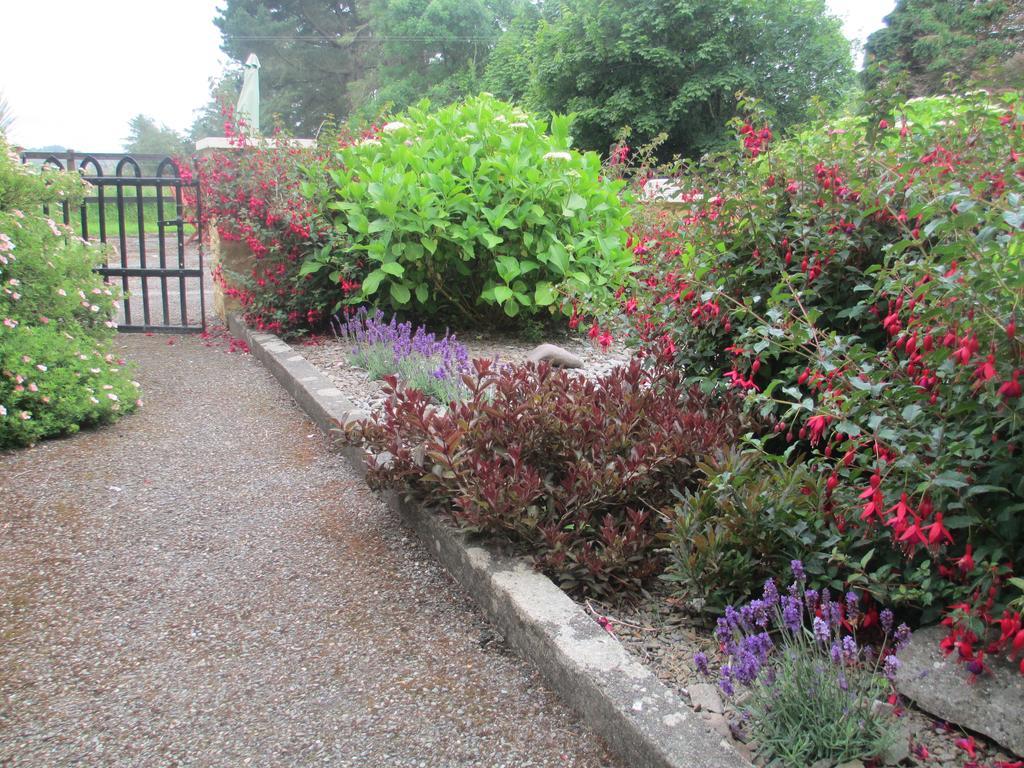 Tralia Farmhouse Self Catering Farranfore Zimmer foto