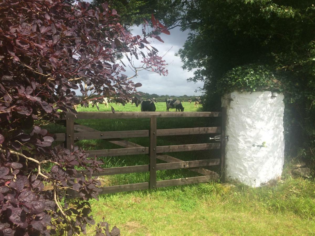 Tralia Farmhouse Self Catering Farranfore Exterior foto